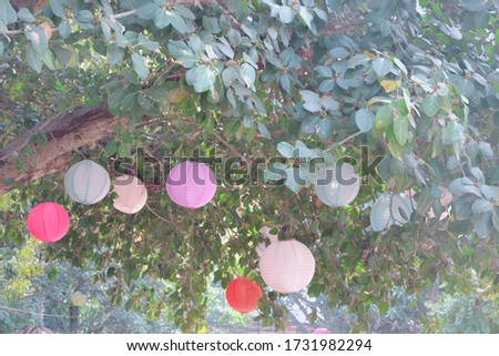 Colorful balls hanging from a tree in a creative and artistic image. The balls are the main focus of the image, as they create a contrast with the green leaves and the blurry background.