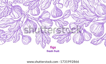 Figs plant. Vector vintage pattern. Art hand drawn illustration on white background. Botanical tree, branch, engraved fruit, texture leaves. Sweet exotic food. Summer plantation, raw harvest, garden

 Royalty-Free Stock Photo #1731992866
