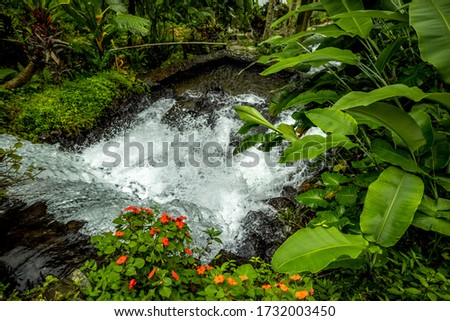 Waterfall landscape. Beautiful hidden waterfall in tropical rainforest. Adventure and travel to Asia. Jembong waterfall in Ambengan, Bali. Fast shutter speed. Selected focus. Foreground with leaves.