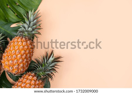 Beautiful pineapple on tropical palm monstera leaves isolated on bright pastel orange pink background, top view, flat lay, overhead above summer fruit.