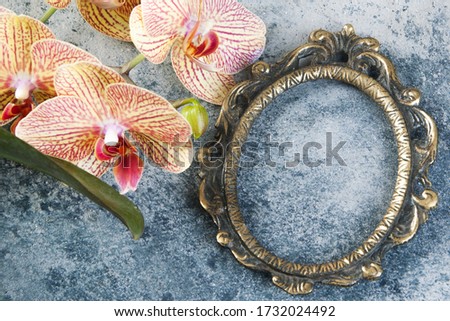Antique brass empty picture frame and orchid flowers on concrete background. Photography props and copy space for text.  