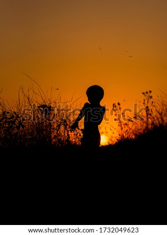 silhouette of a child at sunset, dragonflies and a child, nature and a child, silhouette, orange sun, sunset light, silhouette photography