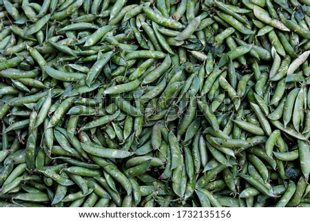 Peas for sale in farmer’s market Delhi, India. The pea is most commonly the small spherical seed or the seed-pod of the pod fruit Pisum sativum. 