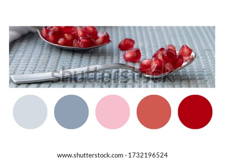 Pomegranate seeds. Raw organic antioxidant food in a colour palette, with complimentary colour swatches
