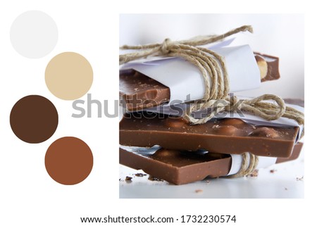 Broken chocolate pieces wrapped in white paper in a colour palette, with complimentary colour swatches
