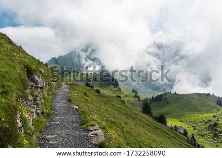 Amazing hiking trail experience on Schynige Platte Alpine Garden with view to the green meadows, alpine flowers and huge mountain rounded by clouds in summer, Bernese Oberland, Switzerland
