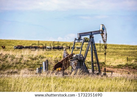 Working pump jack on oil or gas well out in pasture with a herd of cows in the background - selective focus on well