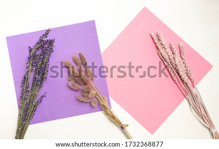 Horizontal photo. Sheets of paper are arranged one after another on a white background. Pastel light colors, pink blue and lilac. Design business concept  Lay up. Mock up. A beautiful bouquets of dry 