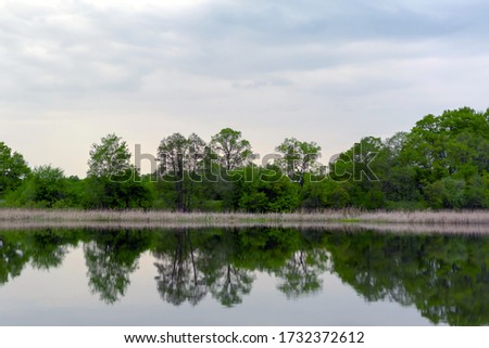 Spring trees by the river are reflected in the water, background