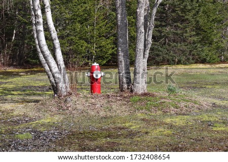 Fire hydrant between two trees in a field