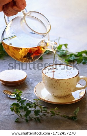 Man's hand with glass teapot pouring tea into white cup, grey background