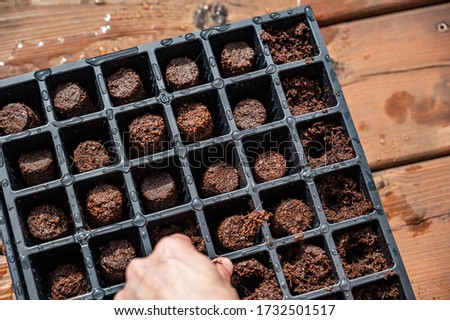 Subjective focus on black plastic grid of a peat moss seed starting tray Royalty-Free Stock Photo #1732501517