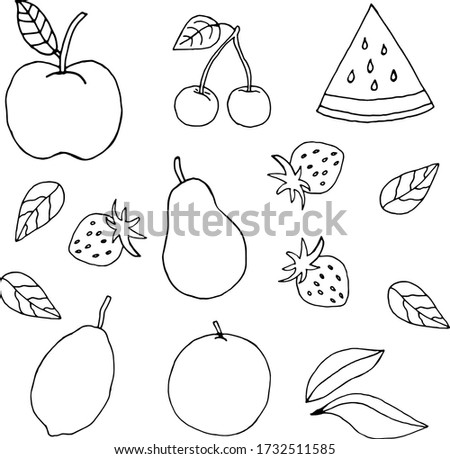 
Group of fresh fruits doodle vector set.