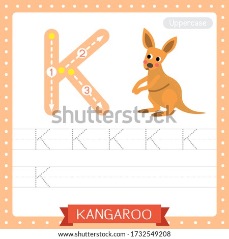 Letter K uppercase cute children colorful zoo and animals ABC alphabet tracing practice worksheet of Kangaroo for kids learning English vocabulary and handwriting vector illustration.