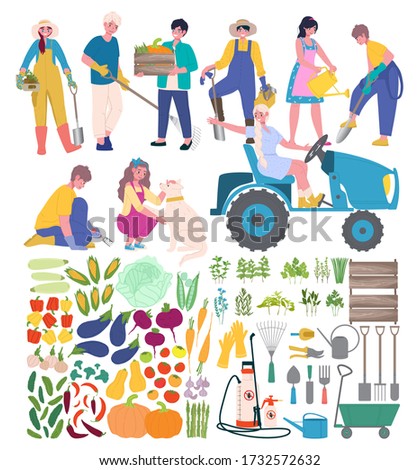 A big set of people, garden tools and vegetables. Farmer's vector illustration