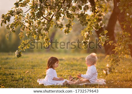 Children are sitting on the grass in a summer park. Girl with a boy under a blossoming apple tree. Sunset in the park. Image with selective focus and toning.