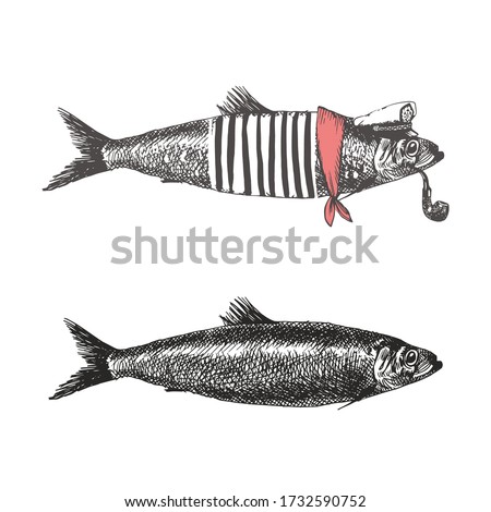 Fish in vintage style. Fish collection vector illustration.