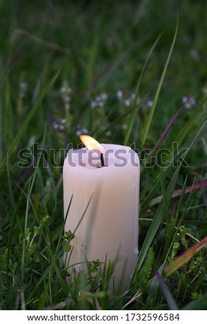 
candle burns in the grass