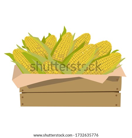 Corn in a wooden box. Vector illustration. Isolated on a white background.