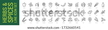 Herbs & spices line icon set. Vector isolated outline illustration. Collection Royalty-Free Stock Photo #1732660541