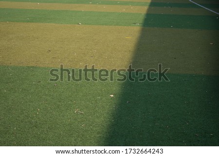 green grass field in the stadium beautiful background