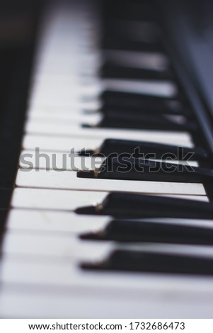 Close up of Piano Keys. white and black keys. Playing electronic Piano.