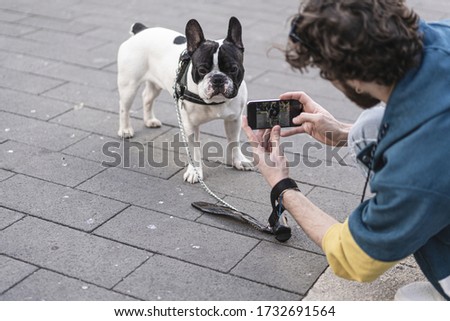 Hipster guy take a picture of his French bulldog dog in the street with his smartphone.