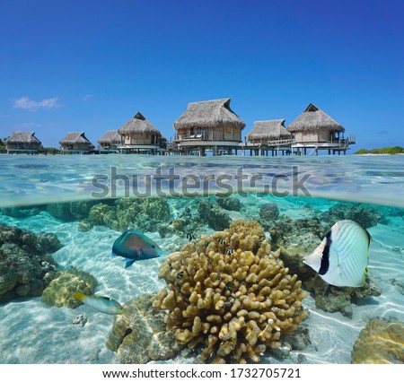 Tropical bungalows overwater and fish with coral underwater, split view over and under water surface, French Polynesia, Pacific ocean, Oceania Royalty-Free Stock Photo #1732705721