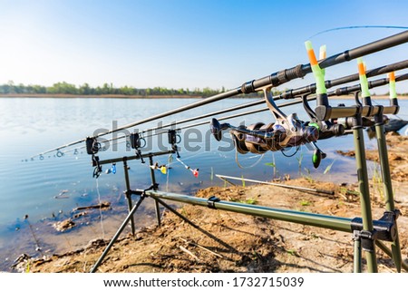 Fishing rods set for carp up on holder with bite alarms and illuminated indicators . Professional fishing equipment Fishing on the shore of a quiet clean lake on a warm summer silence morning.