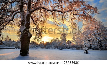 Snow covered winter countryside at the sunset in Latvia