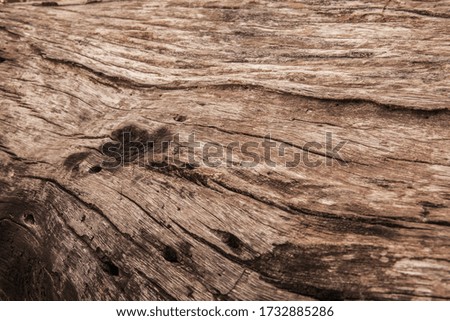 Black marks on log caused by fire.
