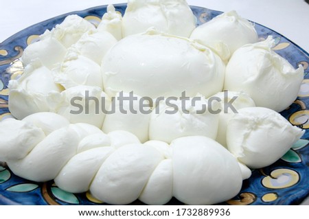 detail of a colored and beautiful dish of different kinds of buffalo mozzarella cheese from the Campania region on the white background