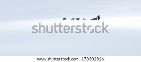 Dog sledding in the Canadian Rockies