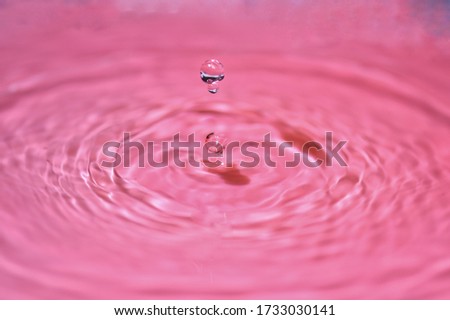splashing of water drop in close-up photography. 