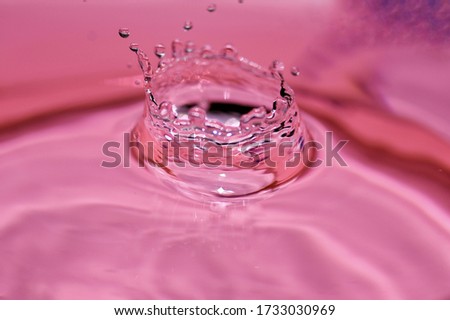 splashing of water drop in close-up photography. 