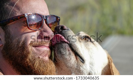Labrador retriever licks its owner's face