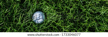 White golf ball embedded in the tall grass of a golf course rough
 Royalty-Free Stock Photo #1733046077
