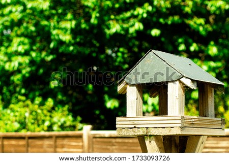 A bird box on a green foliage background.