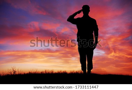 Soldier full body silhouette saluting gesture at sunset copy space Royalty-Free Stock Photo #1733111447