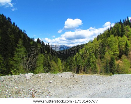 Valley covered in mixed conifer and broadleaf forest with part of the sky covered in clouds and mountains in the background in Gorenjska, Slovenia