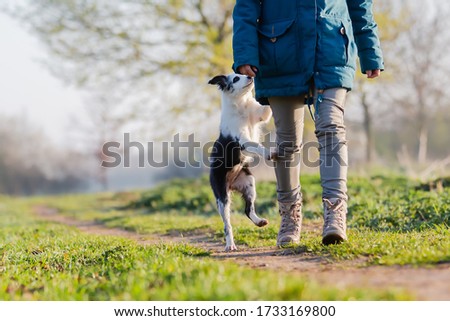 picture of a woman playing with a cute puppy outdoors