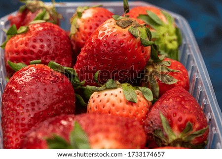 plastic basket with various seasonal strawberries