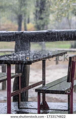bench and wooden table in rainy day in the forest