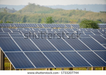 Photovoltaic cell in the solar panel farm