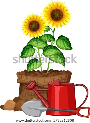 Beautiful flower in brown bag on white background illustration