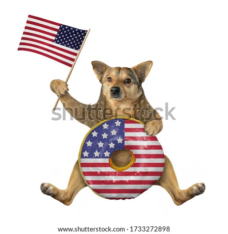 The beige dog patriot is sitting with a big american donut and the US flag. White background. Isolated.