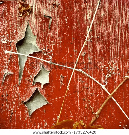 Abstract detail of an abanonded red metal door with faded and peeling paint and remnants of a plant, edited to give a vintage retro film feel to the image
