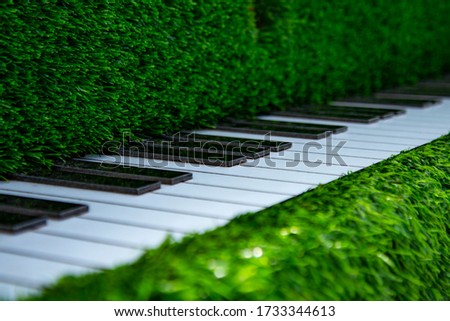 piano from topiary grass in the city center, Vitebsk
