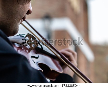a musician playing the violin