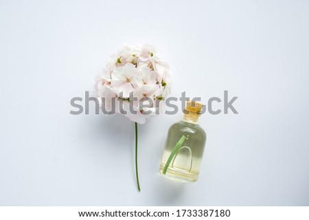 white Pelargonium, garden geranium or zonal geranium Flowers isolated on white Royalty-Free Stock Photo #1733387180